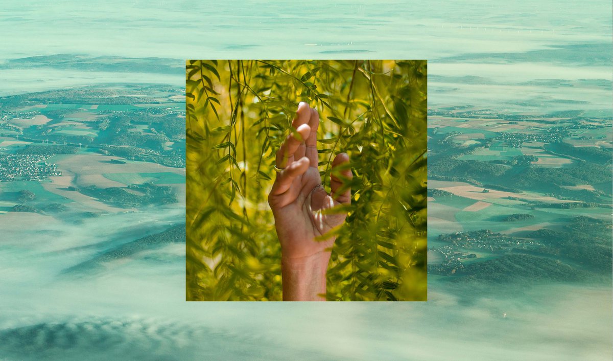 Hand in willow tree