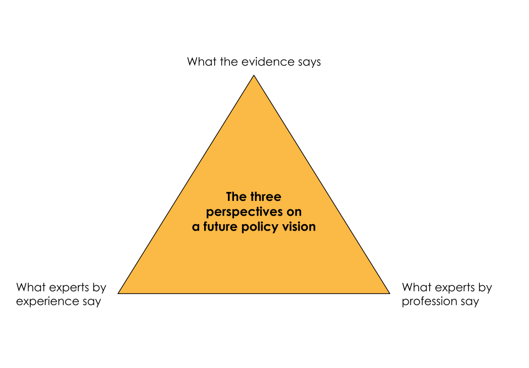 A triangle diagram titled "The three perspectives on a future policy vision," with three labeled points: "What the evidence says," "What experts by experience say," and "What experts by profession say